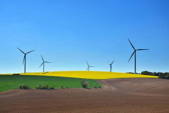 scopri l'importanza degli spazi verdi urbani sostenibili: un equilibrio tra natura e sviluppo urbano, promuovendo la salute, la biodiversità e il benessere delle comunità. esplora come questi spazi possono trasformare le nostre città in luoghi più vivibili e resilienti.