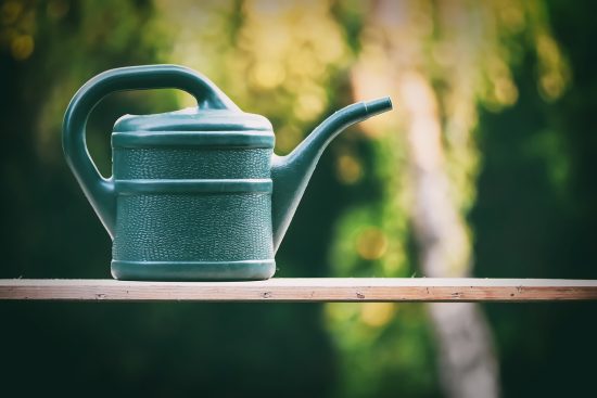 scopri i migliori metodi per innaffiare le tue piante! dalla selezione dell'acqua giusta ai consigli pratici per mantenere le tue piante sane e prosperose, questa guida è tutto ciò che ti serve per un'irrigazione efficace.