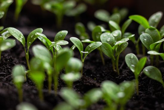 scopri l'importanza della sostenibilità per il nostro pianeta. esplora pratiche ecologiche, stili di vita sostenibili e come ciascuno di noi può contribuire a un futuro più verde e responsabile.