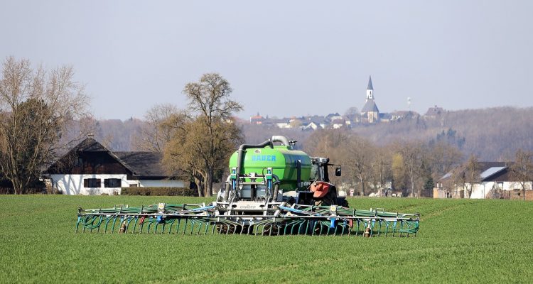 scopri l'importanza della fertilizzazione per il tuo giardino. approfondisci le tecniche, i tipi di fertilizzanti e i consigli per nutrire le tue piante in modo efficace e sostenibile.