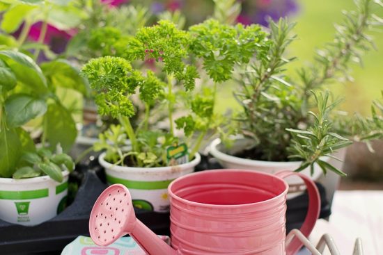 scopri la nostra selezione di attrezzi da giardinaggio di alta qualità, perfetti per ogni giardiniere che desidera trasformare il proprio spazio verde. scegli tra un'ampia gamma di utensili per semina, potatura e cura delle piante, progettati per rendere il tuo giardinaggio più facile e piacevole.