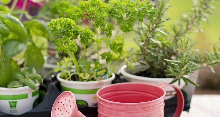 scopri la nostra selezione di attrezzi da giardinaggio di alta qualità, perfetti per ogni giardiniere che desidera trasformare il proprio spazio verde. scegli tra un'ampia gamma di utensili per semina, potatura e cura delle piante, progettati per rendere il tuo giardinaggio più facile e piacevole.
