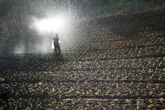 scopri il mondo dei fertilizzanti: come migliorare la crescita delle tue piante e ottimizzare la produttività del tuo giardino. consigli e suggerimenti per scegliere il fertilizzante giusto!