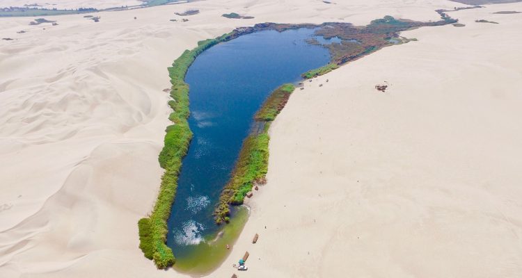 scopri un angolo di paradiso nel tuo giardino con il nostro 'garden oasis'. trasforma il tuo spazio esterno in un rifugio di calma e bellezza, ricco di piante lussureggianti e design incantevole.