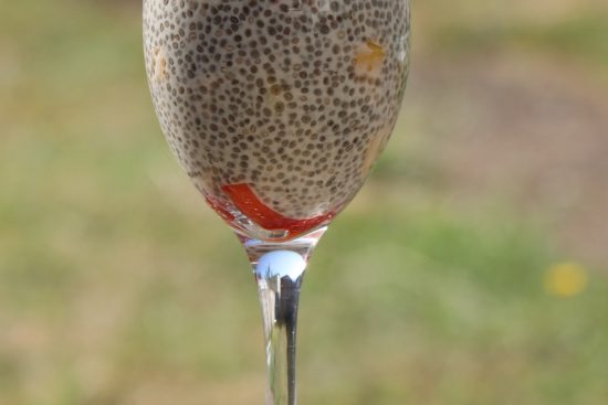scopri i benefici dei semi di chia: piccoli superfood ricchi di nutrienti, ideali per migliorare la tua salute e il tuo benessere. aggiungi i semi di chia alla tua dieta per un apporto naturale di omega-3, fibre e antiossidanti.