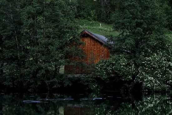 scopri la bellezza della natura: paesaggi mozzafiato, flora e fauna straordinarie, e luoghi da esplorare in ogni angolo del nostro pianeta. immergiti in un viaggio alla ricerca della tranquillità e dell'armonia con l'ambiente.