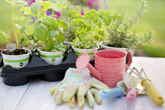 scopri la nostra selezione di attrezzi da giardinaggio di alta qualità per rendere il tuo giardino un luogo splendido. dai potatori ai rastrelli, abbiamo tutto il necessario per coltivare e curare le tue piante con facilità.