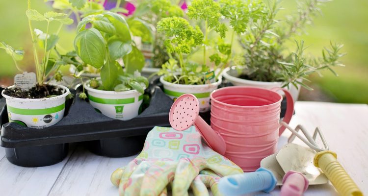 scopri la nostra selezione di attrezzi da giardinaggio di alta qualità per rendere il tuo giardino un luogo splendido. dai potatori ai rastrelli, abbiamo tutto il necessario per coltivare e curare le tue piante con facilità.