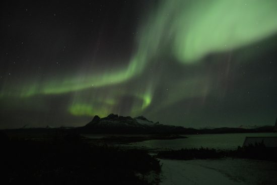 scopri l'importanza degli spazi verdi nelle nostre città. esplora come giardini, parchi e aree verdi contribuiscono al benessere ambientale e alla qualità della vita, offrendo rifugi di bellezza e serenità.