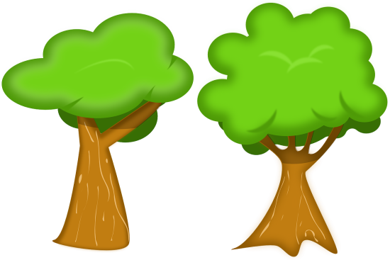 scopri la bellezza degli alberi: simboli di vita e natura, essenziali per l'ecosistema e fonte di ispirazione. impara a conoscerli, a proteggerli e a valorizzarli nel nostro ambiente.