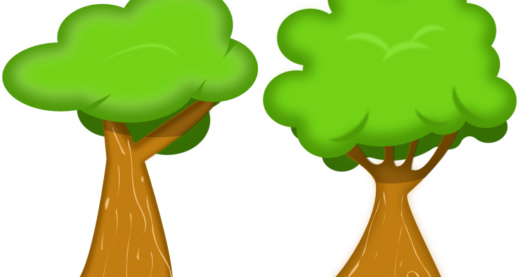 scopri la bellezza degli alberi: simboli di vita e natura, essenziali per l'ecosistema e fonte di ispirazione. impara a conoscerli, a proteggerli e a valorizzarli nel nostro ambiente.