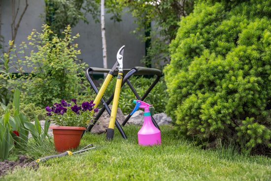 scopri i migliori attrezzi da giardinaggio per rendere il tuo giardino un vero paradiso. scegli tra una vasta gamma di utensili di alta qualità per potare, piantare e curare le tue piante con facilità e precisione.