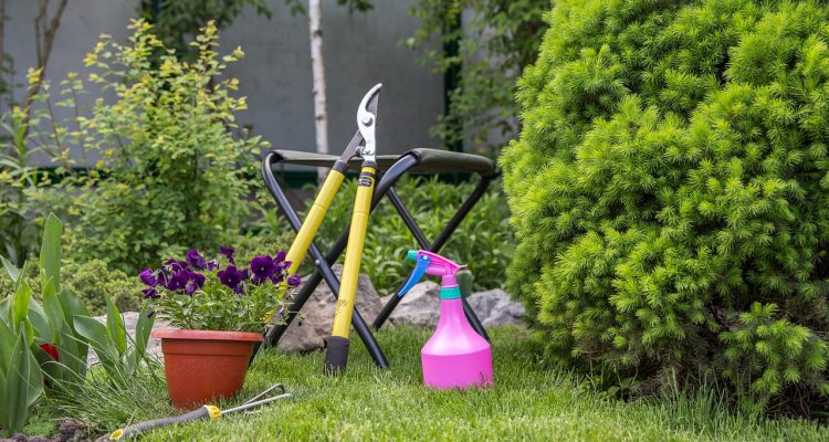 scopri i migliori attrezzi da giardinaggio per rendere il tuo giardino un vero paradiso. scegli tra una vasta gamma di utensili di alta qualità per potare, piantare e curare le tue piante con facilità e precisione.