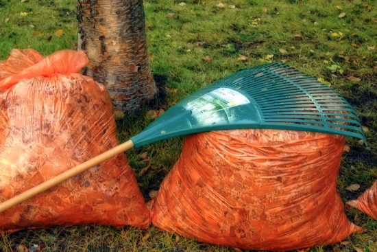 scopri i migliori rastrelli da giardinaggio per rendere il tuo giardino impeccabile. scegli tra diverse forme e materiali per facilitare la cura del tuo spazio verde e ottenere risultati ottimali.