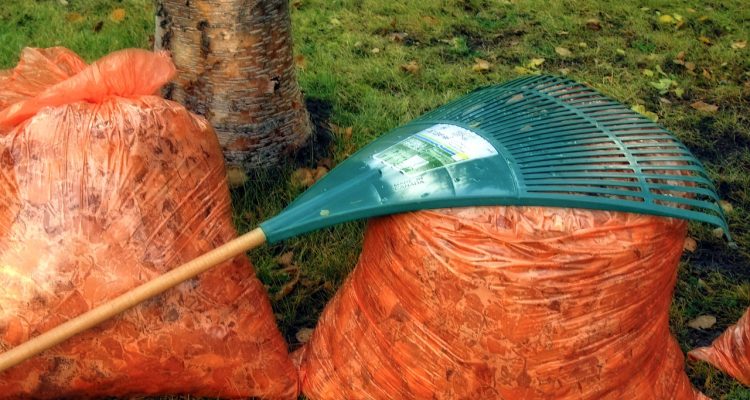 scopri i migliori rastrelli da giardinaggio per rendere il tuo giardino impeccabile. scegli tra diverse forme e materiali per facilitare la cura del tuo spazio verde e ottenere risultati ottimali.