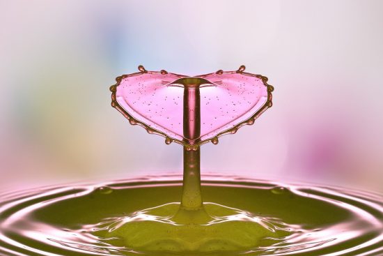 scopri i vantaggi dei fertilizzanti liquidi: nutrizione rapida e efficace per le tue piante, facilità d'uso e risultati straordinari per un giardino rigoglioso e sano.