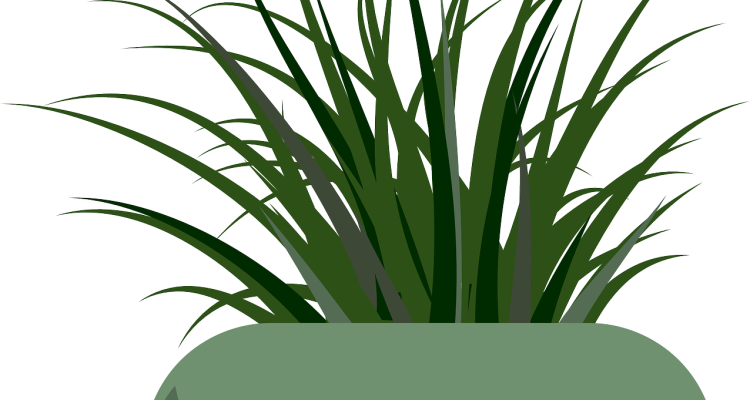 scopri una vasta gamma di vasi da giardinaggio eleganti e funzionali per abbellire il tuo spazio esterno e interno. i nostri planter sono progettati per ogni tipo di pianta e stile, offrendo soluzioni uniche per ogni giardiniere appassionato.