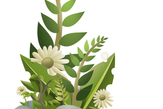 scopri le migliori piante da giardino per abbellire il tuo spazio verde. scegli tra una vasta gamma di piante ornamentali, fiori colorati e piante perenni per creare un giardino incantevole e ricco di vita.
