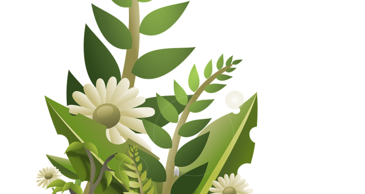 scopri le migliori piante da giardino per abbellire il tuo spazio verde. scegli tra una vasta gamma di piante ornamentali, fiori colorati e piante perenni per creare un giardino incantevole e ricco di vita.