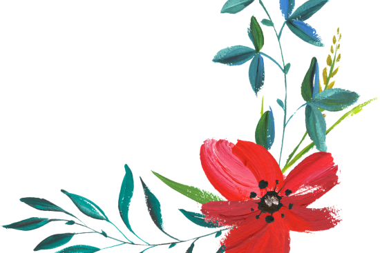 scopri un mondo incantevole di fiori: dalle varietà più comuni a quelle rare, esplora la bellezza dei fiori e come possono abbellire il tuo spazio, portare gioia e significato nelle tue giornate.