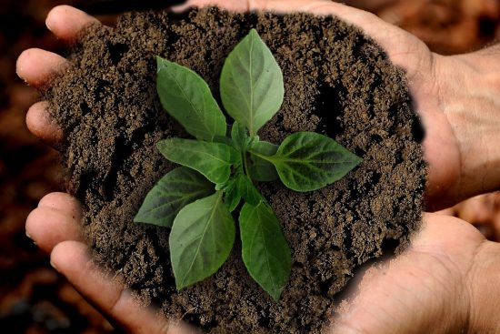 scopri l'importanza della sostenibilità e come le pratiche sostenibili possono trasformare il nostro pianeta. approfondisci le strategie eco-compatibili per un futuro migliore.