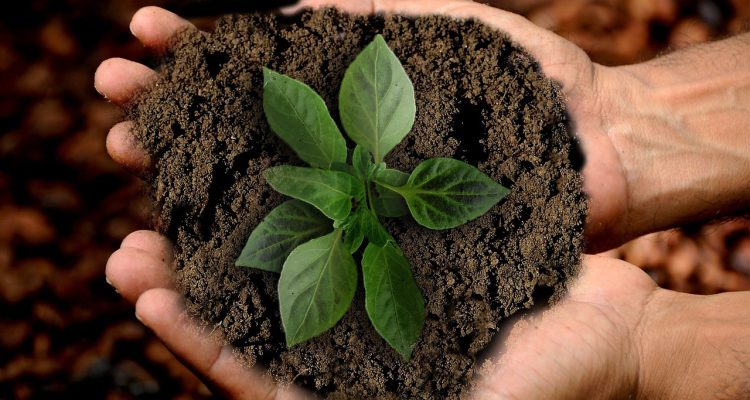 scopri l'importanza della sostenibilità e come le pratiche sostenibili possono trasformare il nostro pianeta. approfondisci le strategie eco-compatibili per un futuro migliore.