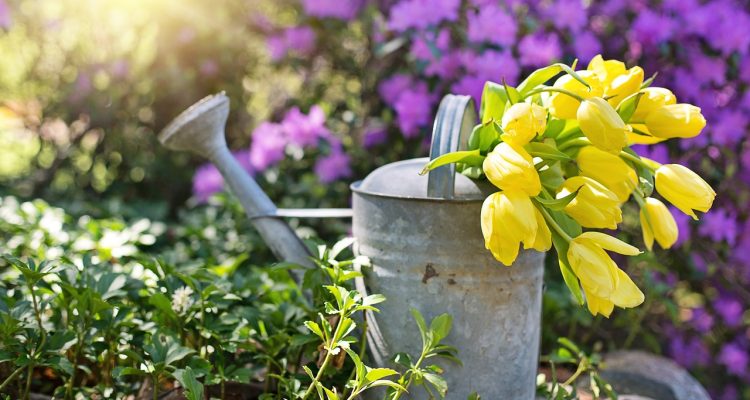 scopri le migliori tecniche di irrigazione per ottimizzare la crescita delle tue piante. scopri metodi innovativi e tradizionali per garantire una distribuzione uniforme dell'acqua e una gestione efficiente delle risorse idriche.