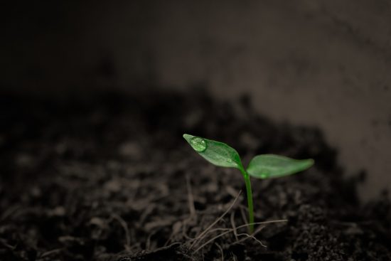 scopri l'importanza del suolo per l'ambiente e l'agricoltura. approfondisci le sue caratteristiche, la biodiversità e le pratiche per una gestione sostenibile del terreno.