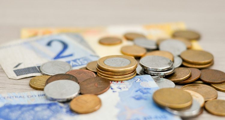 scopri come realizzare un giardinaggio sostenibile con un budget limitato. questo articolo offre consigli pratici e strategie per creare un giardino fiorito e sano senza spendere una fortuna.