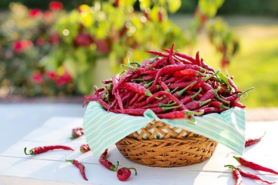scopri il mondo piccante dei peperoncini! esplora varietà, ricette e benefici per la salute di questi deliziosi ingredienti, perfetti per dare un tocco di vivacità ai tuoi piatti.