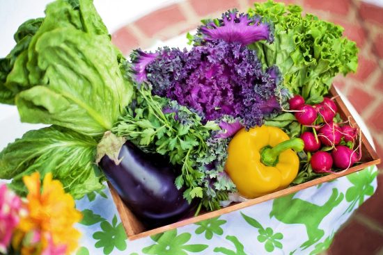scopri il meraviglioso mondo del giardinaggio. consigli utili, tecniche e curiosità per creare e mantenere il tuo giardino ideale. sia che tu sia un principiante o un esperto, trova ispirazione e risorse per far fiorire la tua passione per le piante.