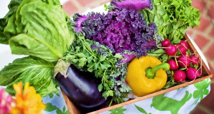 scopri il meraviglioso mondo del giardinaggio. consigli utili, tecniche e curiosità per creare e mantenere il tuo giardino ideale. sia che tu sia un principiante o un esperto, trova ispirazione e risorse per far fiorire la tua passione per le piante.