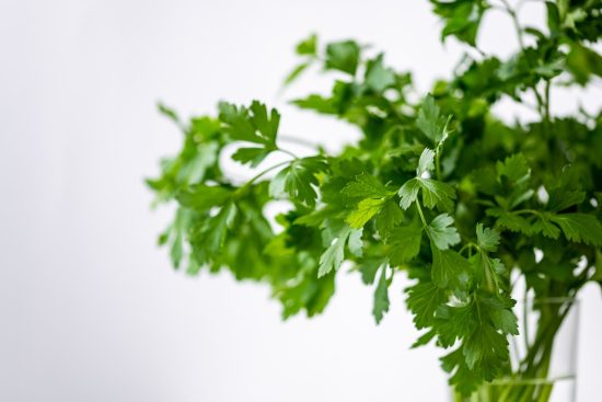 scopri la magia delle erbe! questo articolo esplora l'uso delle erbe nella cucina italiana, i loro benefici per la salute e come coltivarle nel tuo giardino. una guida imperdibile per gli amanti della natura e della gastronomia.