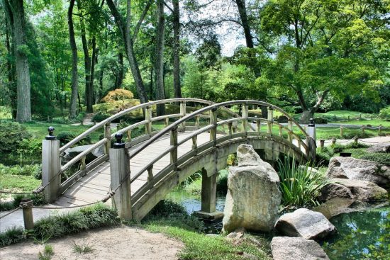 scopri l'arte di coltivare un giardino urbano: esplora tecniche innovative, piante adatte e suggerimenti per trasformare anche i piccoli spazi in oasi verdi. perfetto per gli amanti della natura in città!