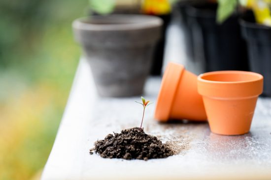 scopri l'arte dell'urban gardening: coltivare piante e ortaggi in spazi urbani. impara tecniche efficaci per sfruttare balconi, terrazzi e cortili, trasformando la tua città in un’oasi verde. unisciti al movimento per un futuro sostenibile!