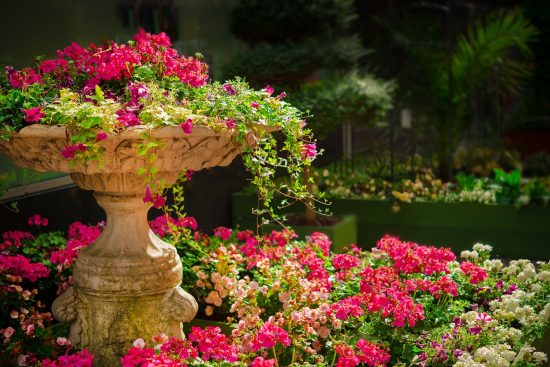 esplora la bellezza dei giardini botanici, luoghi incantevoli dove la natura fiorisce in un'armonia di colori e profumi. scopri piante rare, sentieri sereni e l'importanza della conservazione della biodiversità.