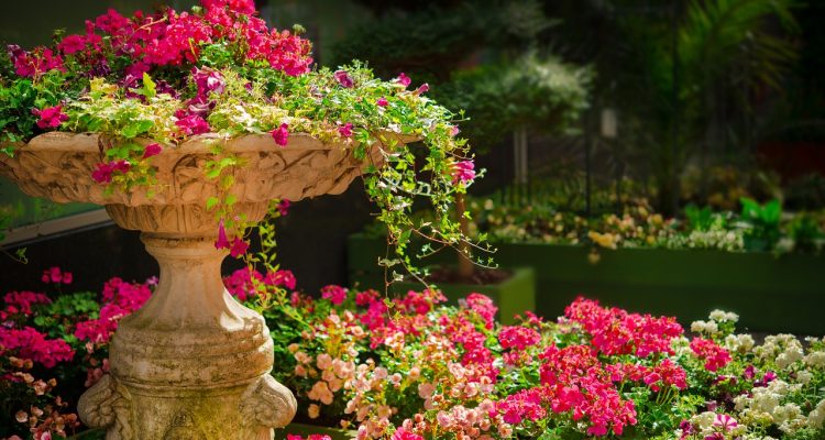 esplora la bellezza dei giardini botanici, luoghi incantevoli dove la natura fiorisce in un'armonia di colori e profumi. scopri piante rare, sentieri sereni e l'importanza della conservazione della biodiversità.