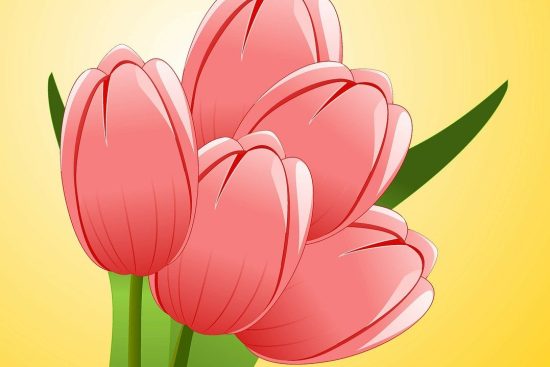 scopri le piante fiorite estive che porteranno colore e vivacità al tuo giardino. dai un tocco di bellezza alla tua estate con una selezione di piante resilienti e profumate, perfette per ogni ambiente.