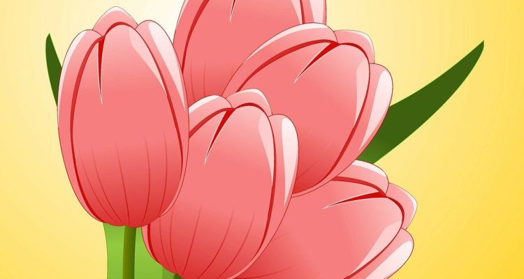 scopri le piante fiorite estive che porteranno colore e vivacità al tuo giardino. dai un tocco di bellezza alla tua estate con una selezione di piante resilienti e profumate, perfette per ogni ambiente.
