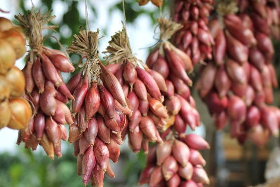scopri i numerosi benefici della giardinaggio biologico: dal miglioramento della salute ambientale alla produzione di alimenti più sani e gustosi. abbraccia un modo di coltivare che rispetta la natura e promuove la biodiversità.