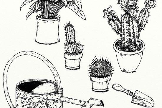scopri utili consigli di giardinaggio per trasformare il tuo spazio verde. dai suggerimenti su piante e fiori alla cura del terreno, trova le migliori pratiche per un giardino rigoglioso e fiorente.