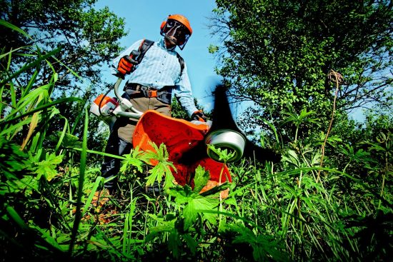 scopri la verità dietro i miti del giardinaggio! sfatare le credenze popolari e ottenere consigli pratici per un giardino sano e fiorente.