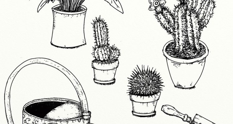 scopri l'arte dell'orto funzionale: un approccio innovativo alla coltivazione che combina estetica e praticità. impara a sfruttare al meglio lo spazio, a scegliere le piante più adatte e a creare un giardino che sia bello e produttivo, ideale per ogni appassionato di giardinaggio.
