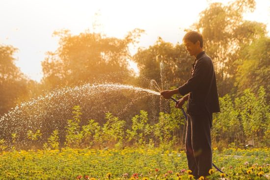 scopri l'arte dei giardini giapponesi, dove la bellezza della natura si unisce all'armonia e alla serenità. esplora le tecniche di progettazione, le piante simboliche e i principi zen che rendono ogni giardino un luogo di tranquillità e meditazione.