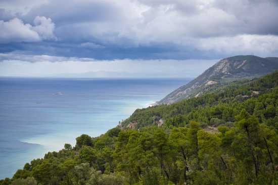 scopri i segreti dell'orto mediterraneo: come coltivare piante aromatiche, verdure e fiori tipici del clima mediterraneo. suggerimenti pratici per un giardino rigoglioso e sostenibile, per godere di un angolo di natura tutto l'anno.