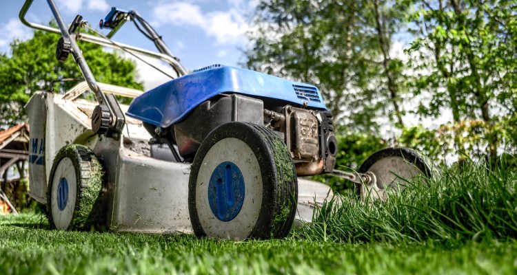 scopri i segreti del giardinaggio naturale: tecniche ecologiche, piante autoctone e metodi sostenibili per un giardino rigoglioso e in armonia con la natura.