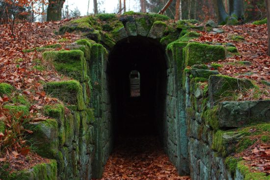 scopri i segreti meglio custoditi del mondo! esplora misteri affascinanti, curiosità sorprendenti e rivelazioni che ti lasceranno a bocca aperta. un viaggio intrigante tra le storie nascoste e le verità dimenticate.