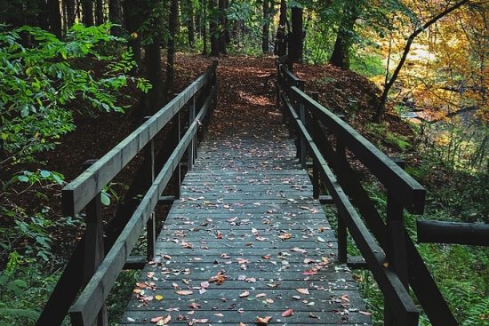 scopri i giardini verticali: un modo innovativo e affascinante per abbellire gli spazi urbani, ottimizzando l'uso dello spazio e migliorando la qualità dell'aria. approfitta dei benefici estetici e ambientali che un giardino verticale può offrire al tuo ambiente.