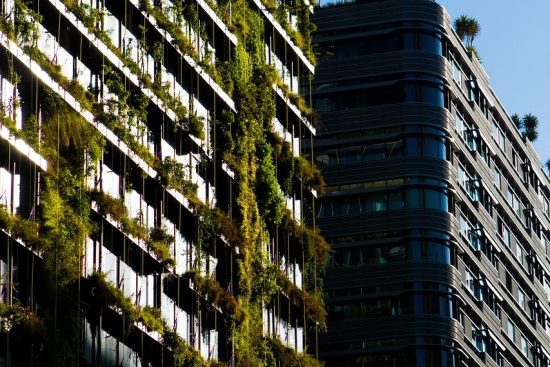 esplora il mondo incantevole dei giardini, un'oasi di bellezza e tranquillità. scopri idee ispiratrici per progettare e curare il tuo spazio verde, con fiori vibranti, piante rigogliose e accessori decorativi. trasforma il tuo giardino in un paradiso naturale!