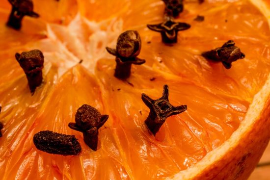 scopri le piante antizanzare più efficaci per proteggere il tuo giardino e la tua casa. le piante naturalmente repellenti ti aiutano a mantenere lontani gli insetti fastidiosi, creando un ambiente sano e piacevole. esplora le varietà più adatte e i loro benefici per un'armonia perfetta con la natura.